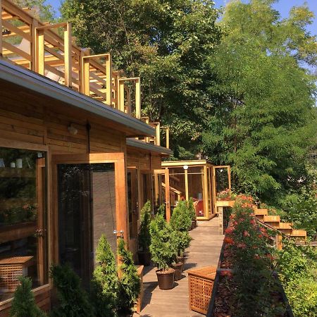 Bed and Breakfast Skay Loft Брашов Экстерьер фото