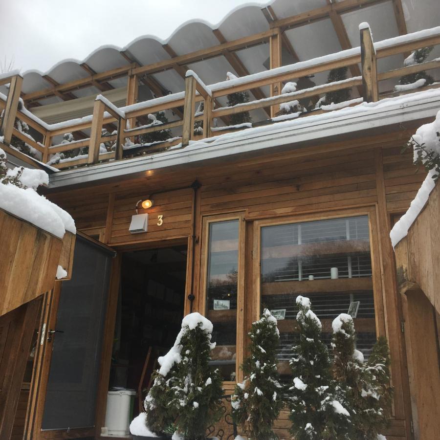 Bed and Breakfast Skay Loft Брашов Экстерьер фото