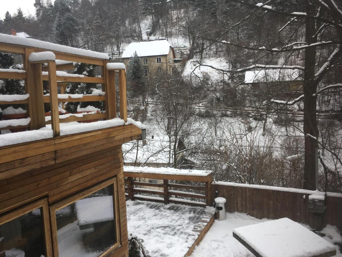 Bed and Breakfast Skay Loft Брашов Экстерьер фото