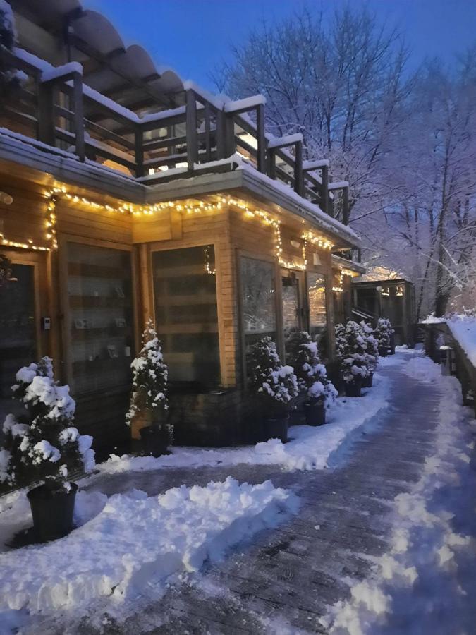 Bed and Breakfast Skay Loft Брашов Экстерьер фото