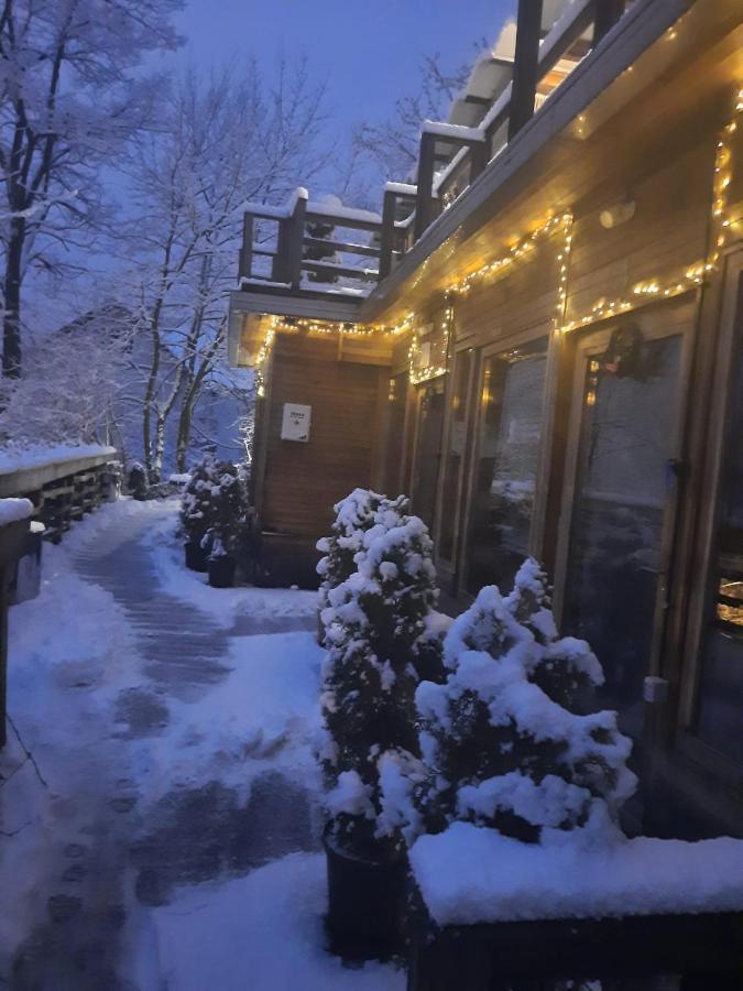 Bed and Breakfast Skay Loft Брашов Экстерьер фото