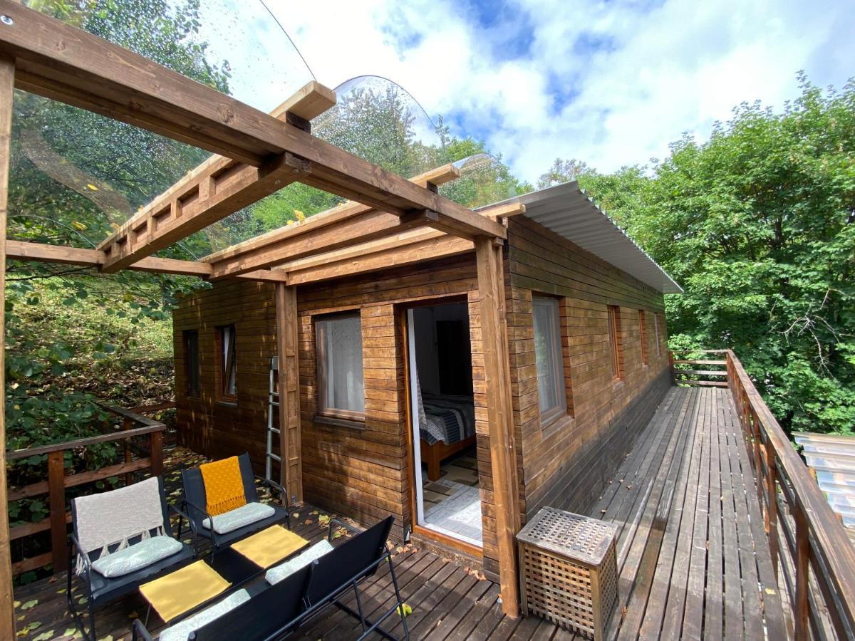 Bed and Breakfast Skay Loft Брашов Экстерьер фото