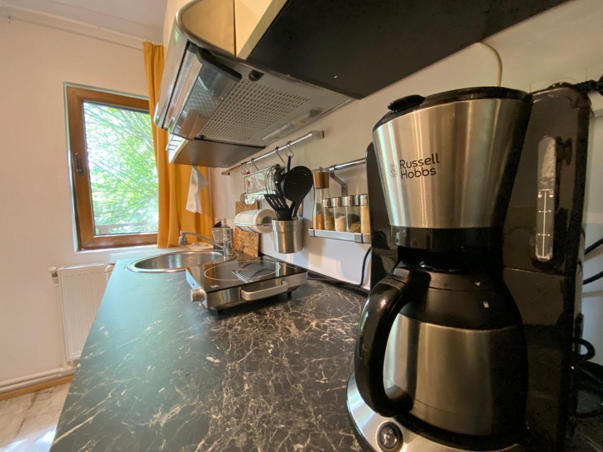 Bed and Breakfast Skay Loft Брашов Экстерьер фото