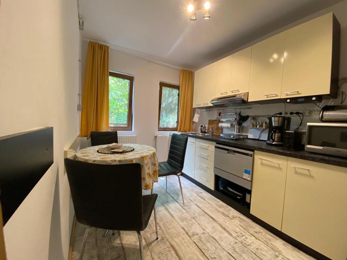 Bed and Breakfast Skay Loft Брашов Экстерьер фото