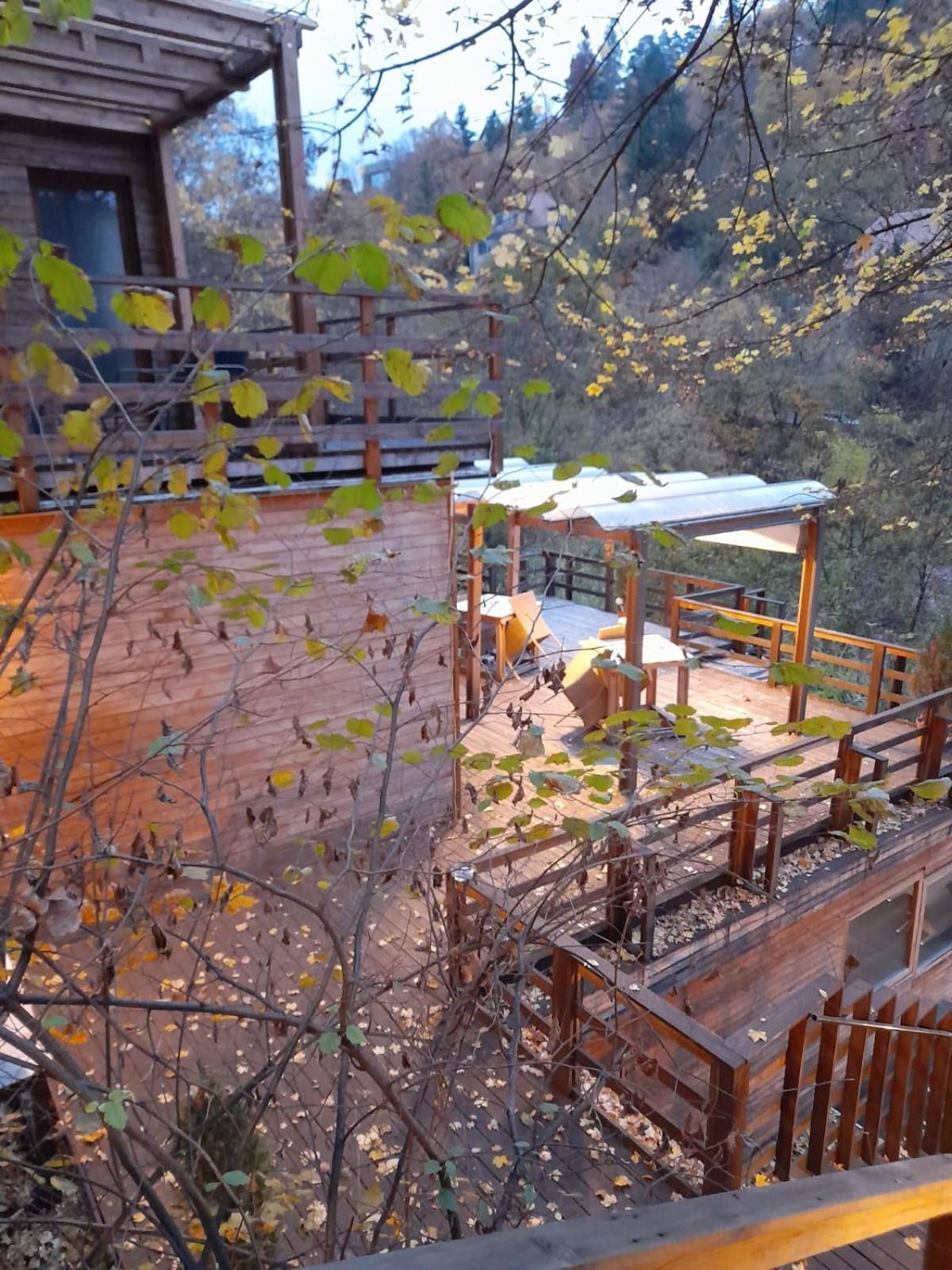 Bed and Breakfast Skay Loft Брашов Экстерьер фото