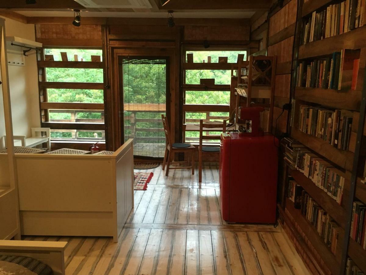 Bed and Breakfast Skay Loft Брашов Экстерьер фото